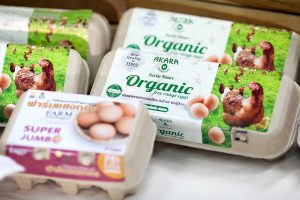 Organic Egg 0009