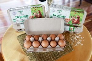 Organic Egg 0500